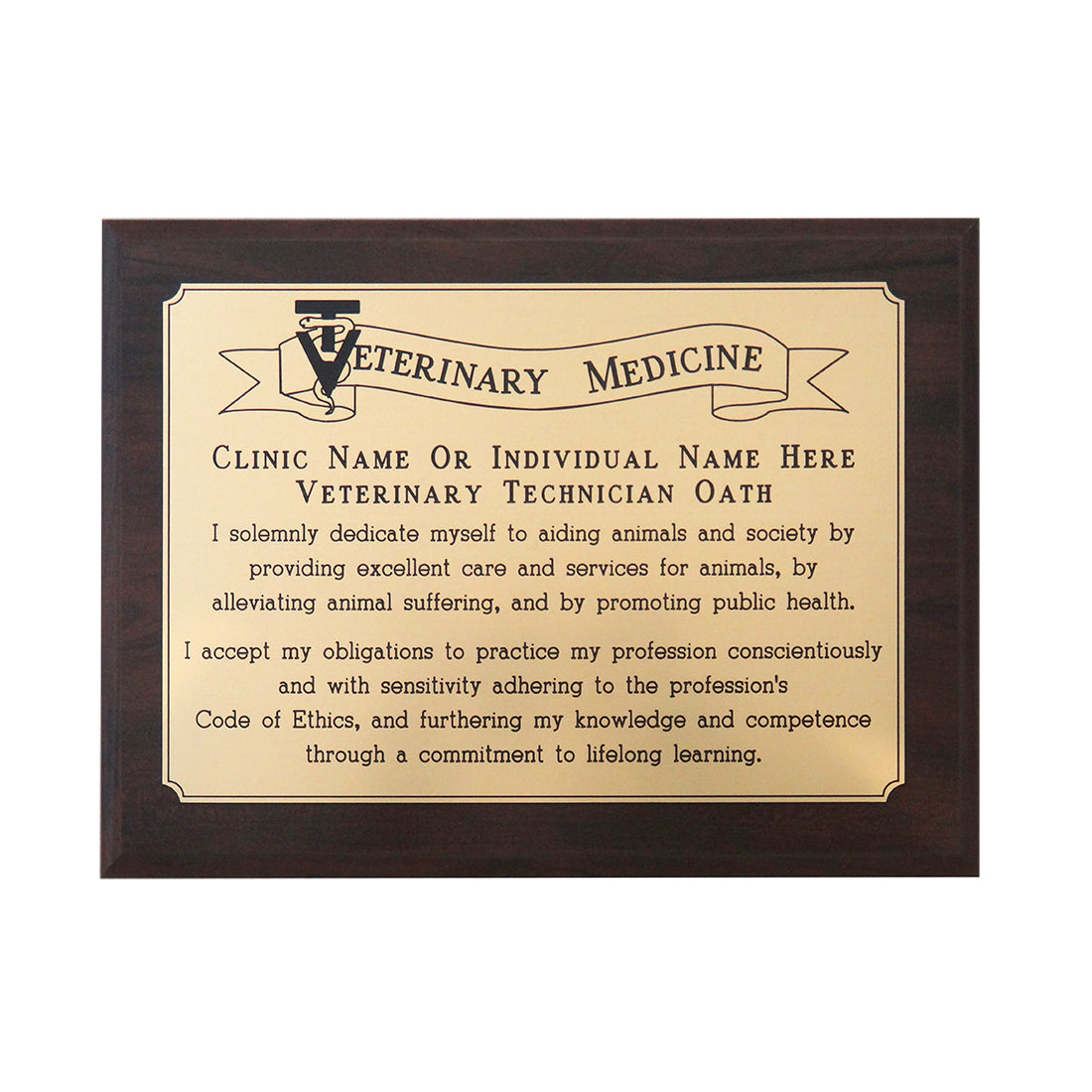 Veterinary Medicine Technician Oath