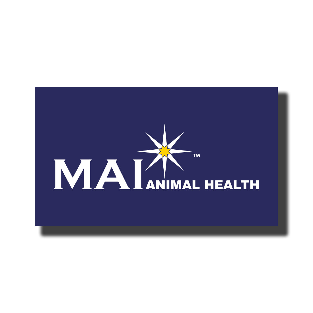 Magnetic Business Card