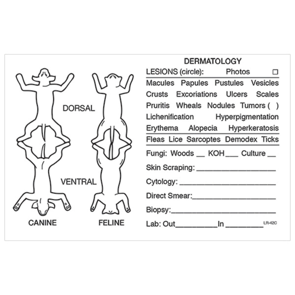 Medical Record Stickers - Dermatology (Pack of 200)