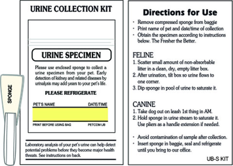 Urine Kit with Sponge on Card