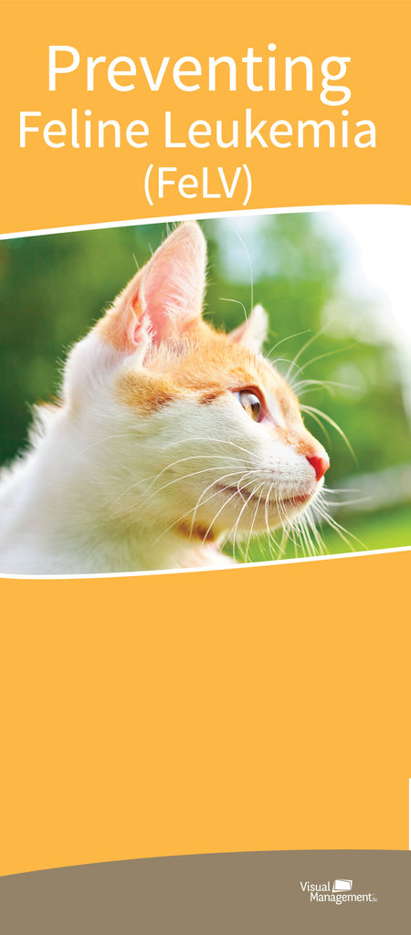 EduPet™ Client Handouts - Preventing Feline Leukemia (FeLV)