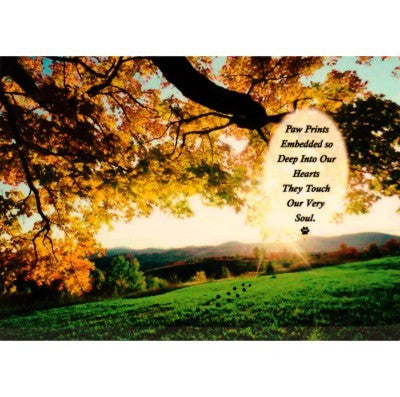 "Quiet Moments In A Field" Personalized Full Color Plaque
