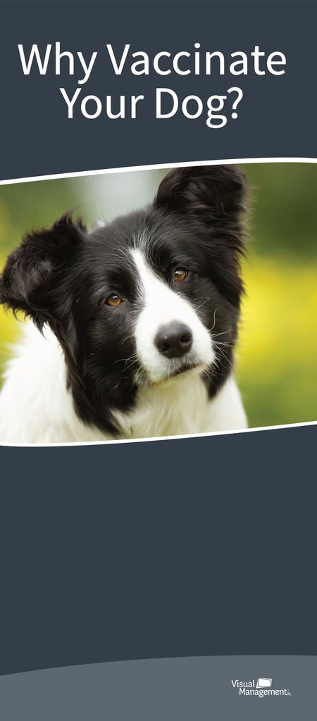 EduPet™ Client Handouts - Why Vaccinate Your Dog